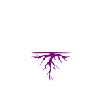 logo roxo